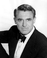 Indiscreet film (1958)