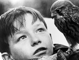 Kes - film (1969)