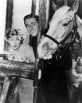 Mister Ed - film (1961)