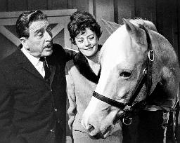 Mister Ed - film (1961)