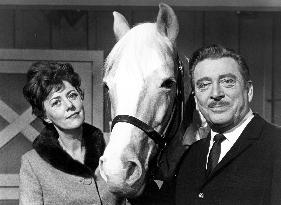 Mister Ed - film (1961)