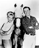 Mister Ed - film (1961)