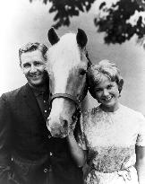 Mister Ed - film (1961)