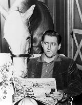 Mister Ed - film (1961)