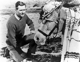 Mister Ed - film (1961)