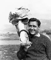 Mister Ed - film (1961)