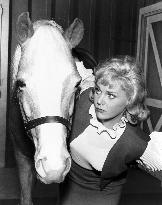 Mister Ed - film (1961)