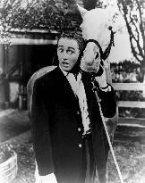 Mister Ed - film (1961)