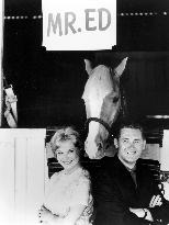 Mister Ed - film (1961)