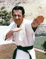 Get Smart - film (1965)