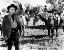 Cattle King - film (1963)