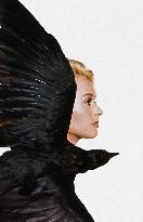 The Birds - film (1963)