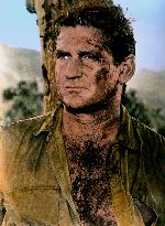 The Mercenaries - film (1968)