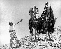 Lawrence Of Arabia - film (1962)