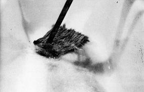 Psycho - film (1960)