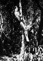 Tarzan - film (1966)