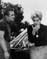 Strangers When We Meet - film (1960)