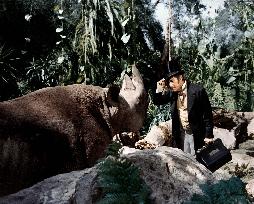 Doctor Dolittle - film (1967)