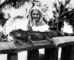 The Night Of The Iguana - film (1964)