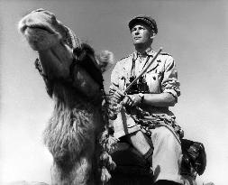 Lawrence Of Arabia - film (1962)