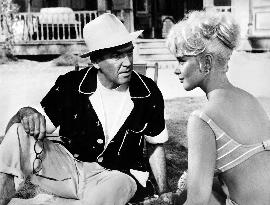 Mr. Hobbs Takes A Vacation - film (1962)