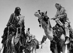 Lawrence Of Arabia - film (1962)