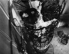 The Haunting - film (1963)