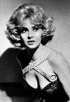 A Curious Way To Love - film (1968)