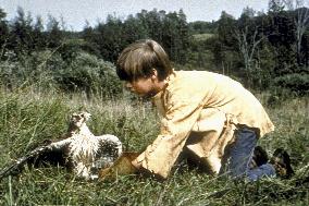 My Side Of The Mountain - film (1969)