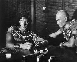 The Pharaoh's Woman - film (1960)