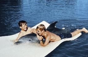 Flipper - film (1964)