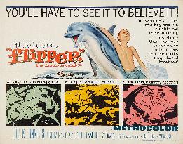 Flipper - film (1963)