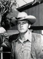 The Big Valley - film (1965)