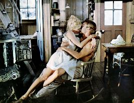 Joy In The Morning - film (1965)