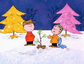 A Charlie Brown Christmas - film (1965)