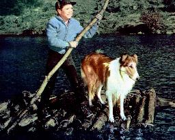 Lassie's Greatest Adventure - film (1965)