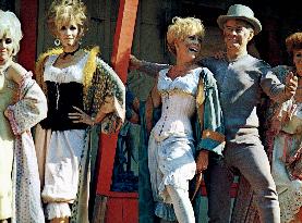 Support Your Local Sheriff! - film (1969)