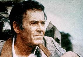 Stranger On The Run - film (1967)