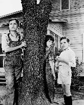 To Kill A Mockingbird - film (1962)