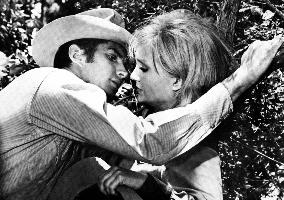 Your Cheatin' Heart - film (1964)