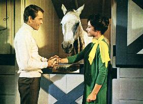 The Horse In The Gray Flannel - film (1968)