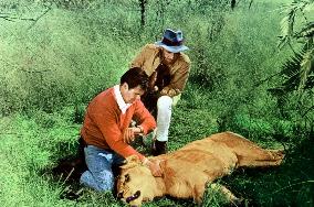 Rhino! - film (1964)