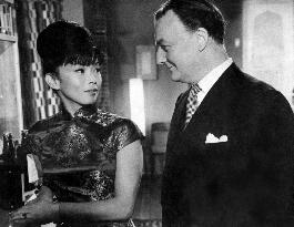 The Partner - film (1963)
