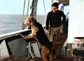 Ballad Of Hector, Stowaway Dog - film (1964)