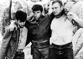 The Violent Ones - film (1967)