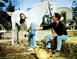 The Main Attraction - film (1962)