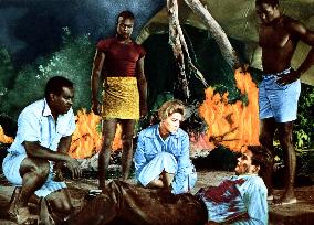 The Sins Of Rachel Cade - film (1961)