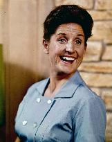 The Brady Bunch - film (1969)