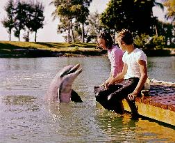 Flipper's New Adventure - film (1964)