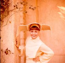 The Flying Nun - film (1967)